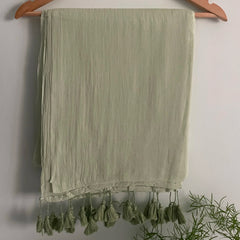 Kaira Pistachio Green Handwoven Mul Mul Cotton Saree